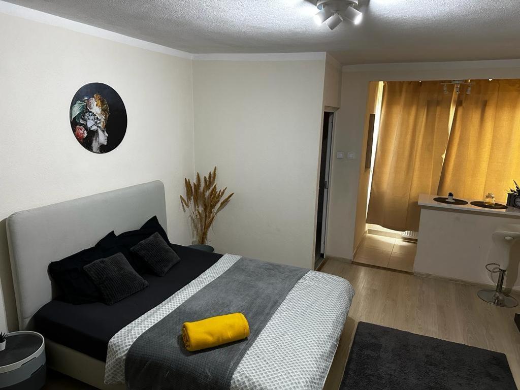 Reeas Apartament Timişoara Exterior foto