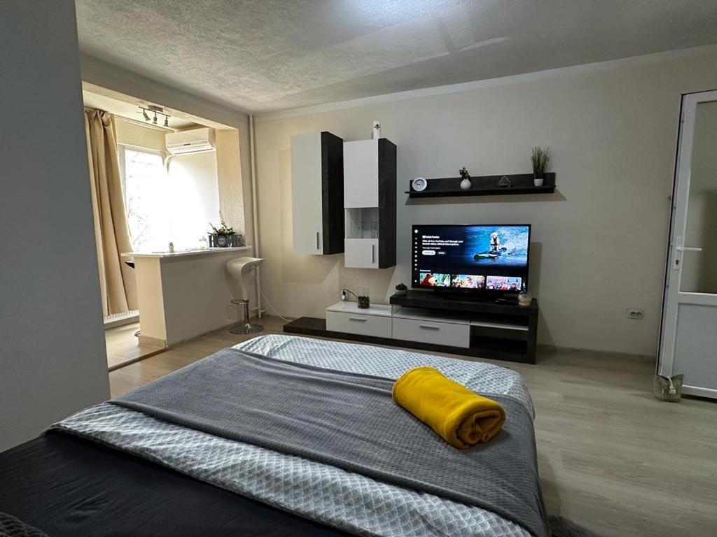 Reeas Apartament Timişoara Exterior foto