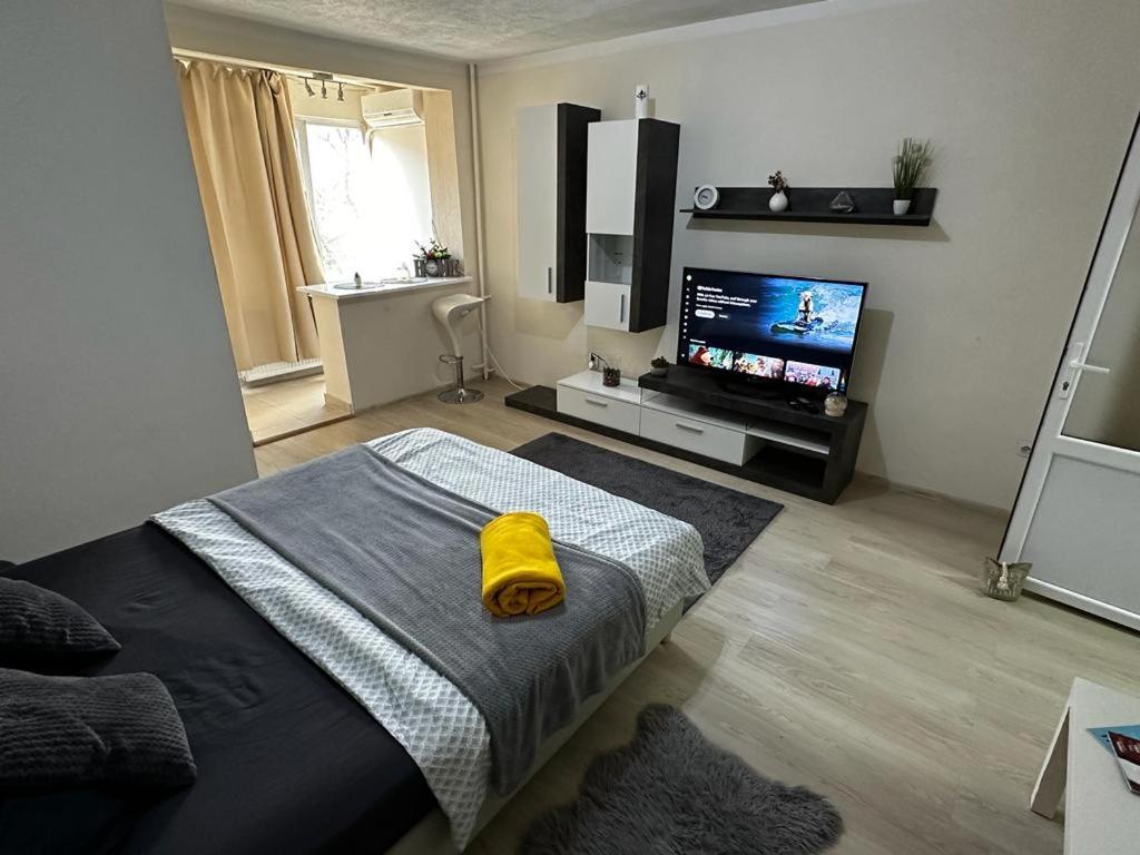 Reeas Apartament Timişoara Exterior foto